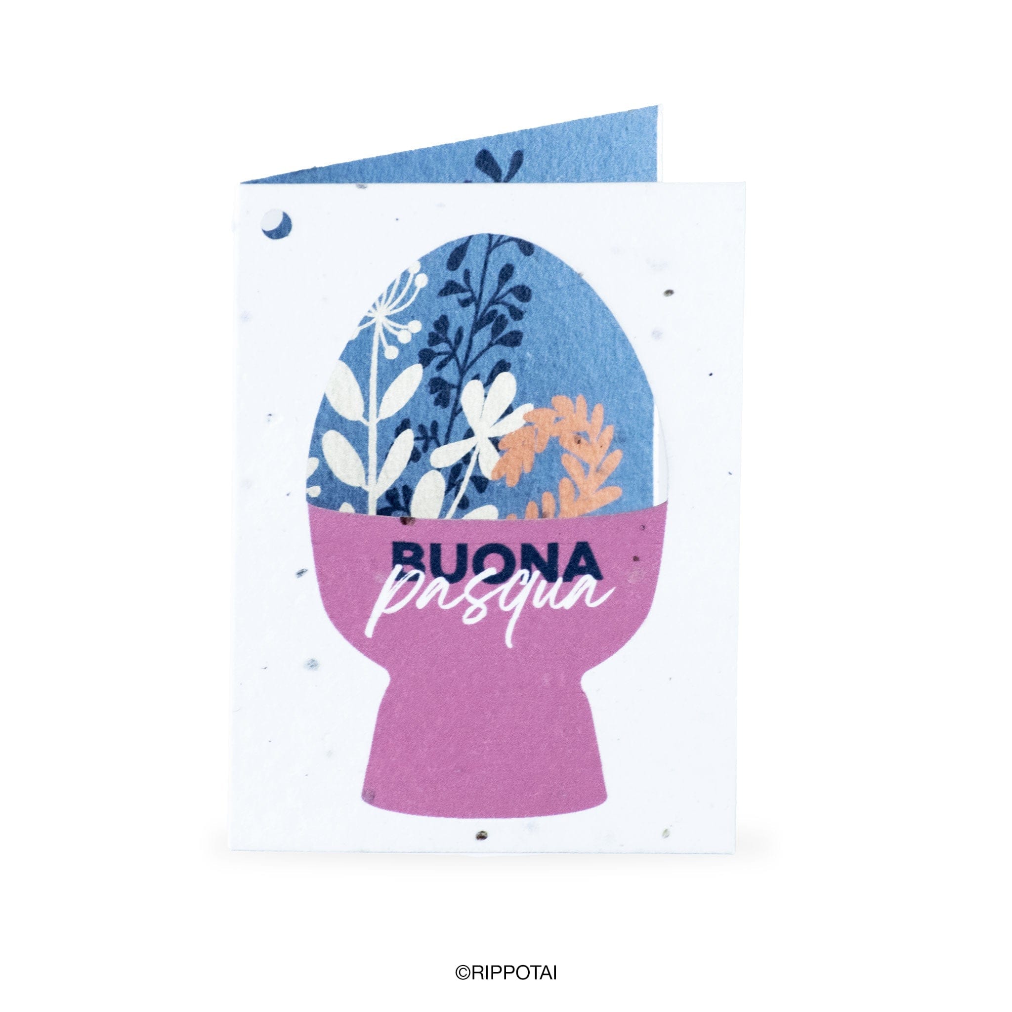 Rippotai Biglietti Auguri Biglietti di Auguri per Pasqua in Carta Piantabile Releaf – Kit da 8