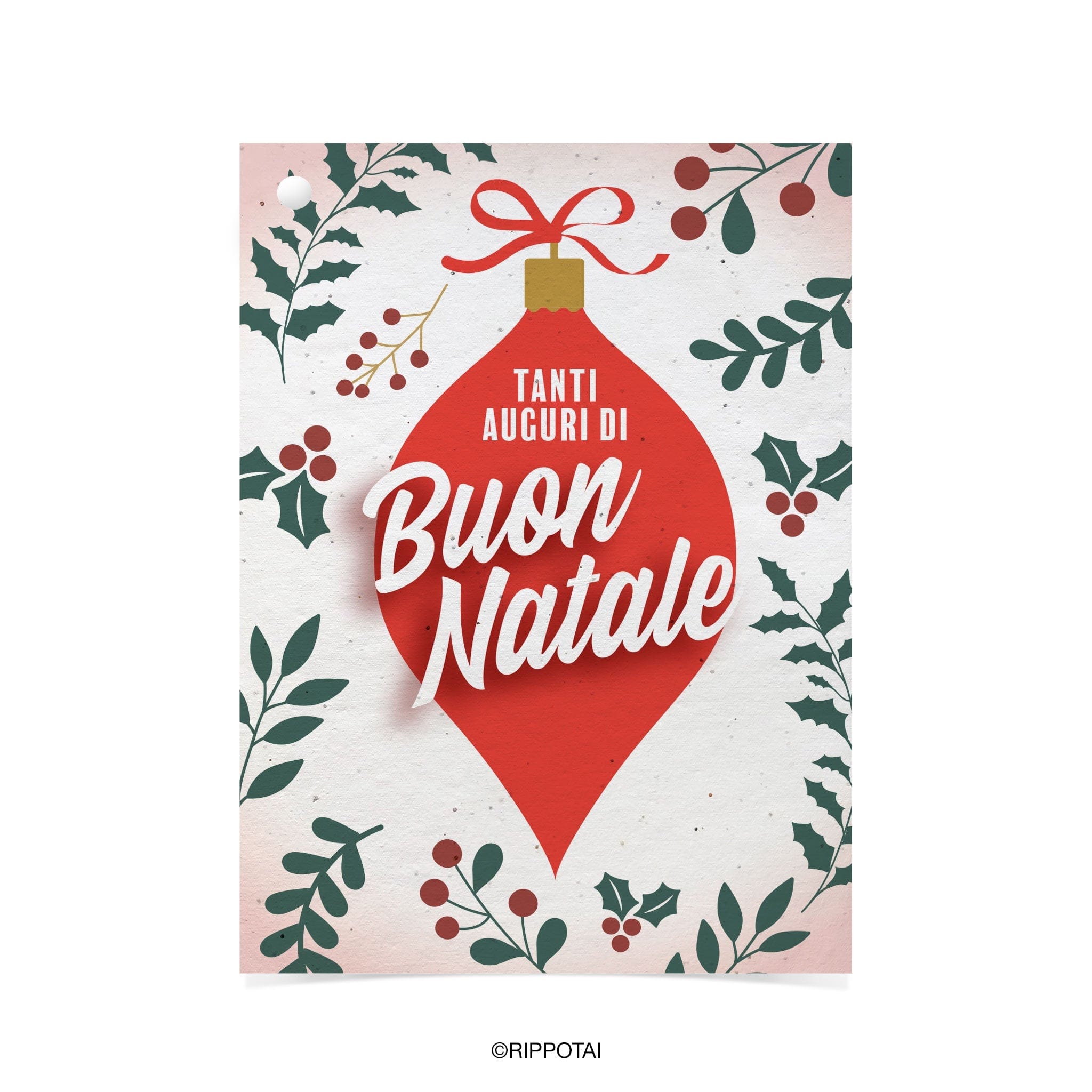 Rippotai Biglietti Auguri Biglietti Natalizi in Carta Semi - Regalo Solidale per un Pianeta Sostenibile
