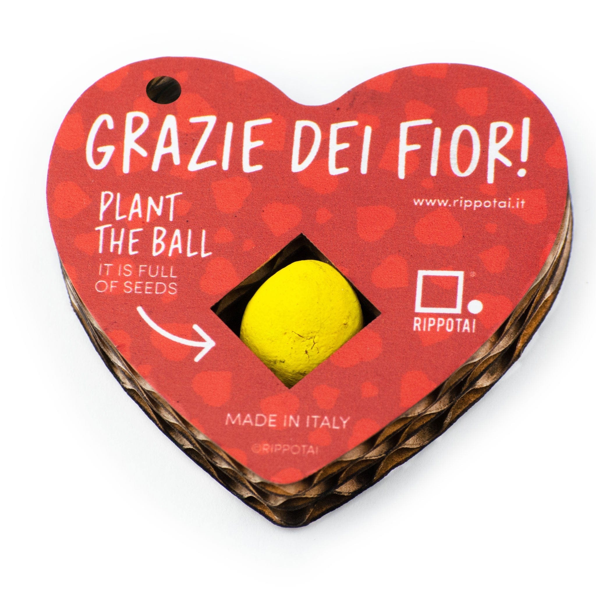 Rippotai Bombe semi Cuore singolo Cuori San Valentino – Portachiavi con Semi che Fioriscono -kit da 2