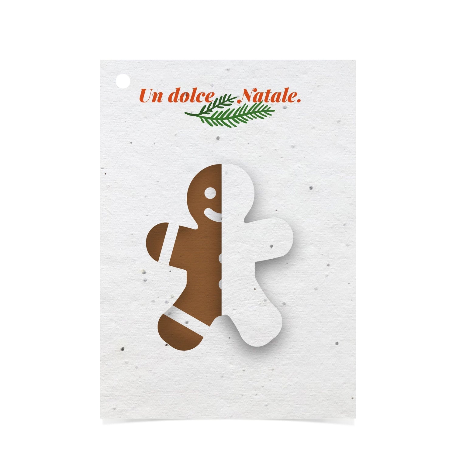 Rippotai Biglietti Auguri Biglietti di Auguri di Natale in Carta Piantabile Releaf – Kit da 8