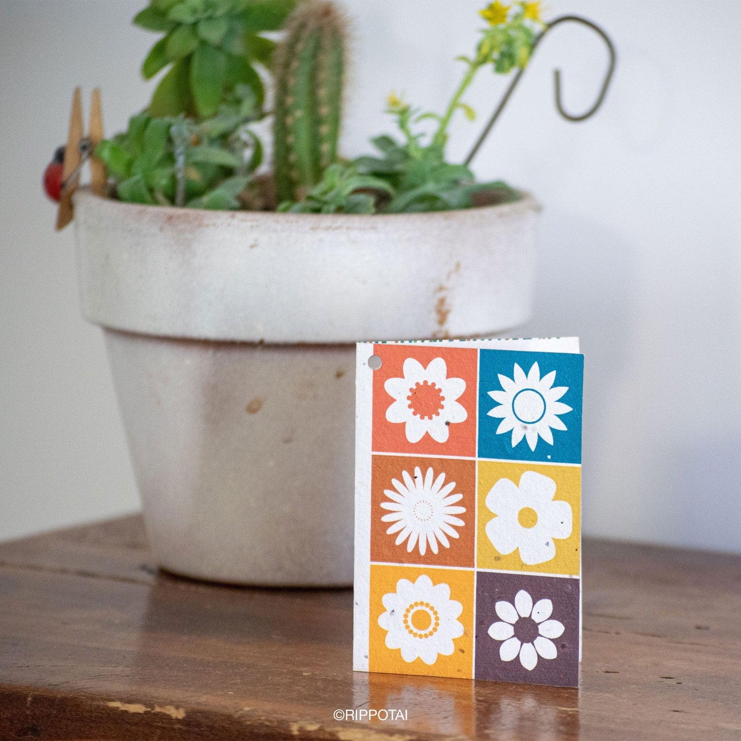 Rippotai Biglietti Auguri Biglietti di Auguri in Carta Piantabile a Tema Primavera – Kit da 8