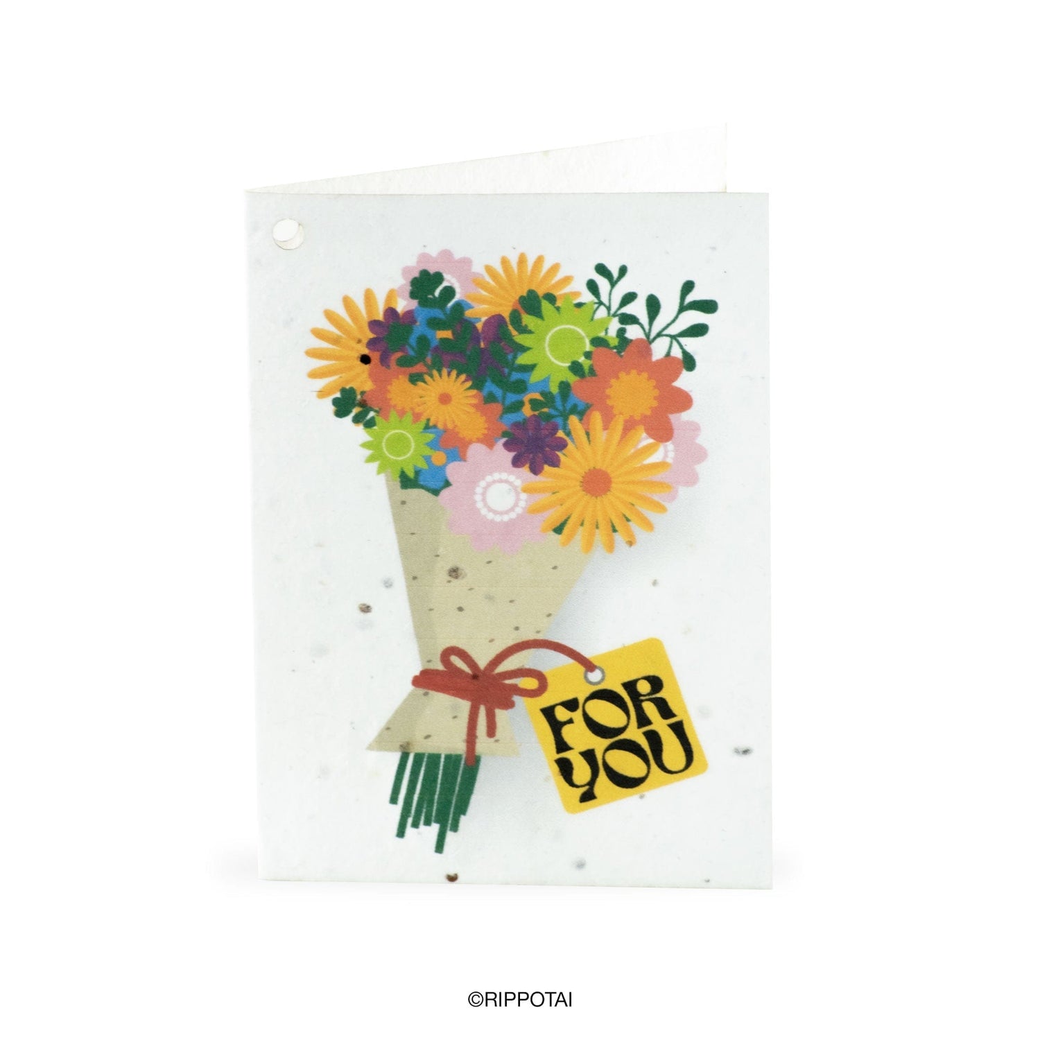 Rippotai Biglietti Auguri Biglietti di Auguri in Carta Piantabile a Tema Primavera – Kit da 8