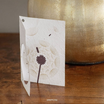 Rippotai Biglietti Auguri Biglietti di Auguri in Carta Piantabile a Tema Primavera – Kit da 8