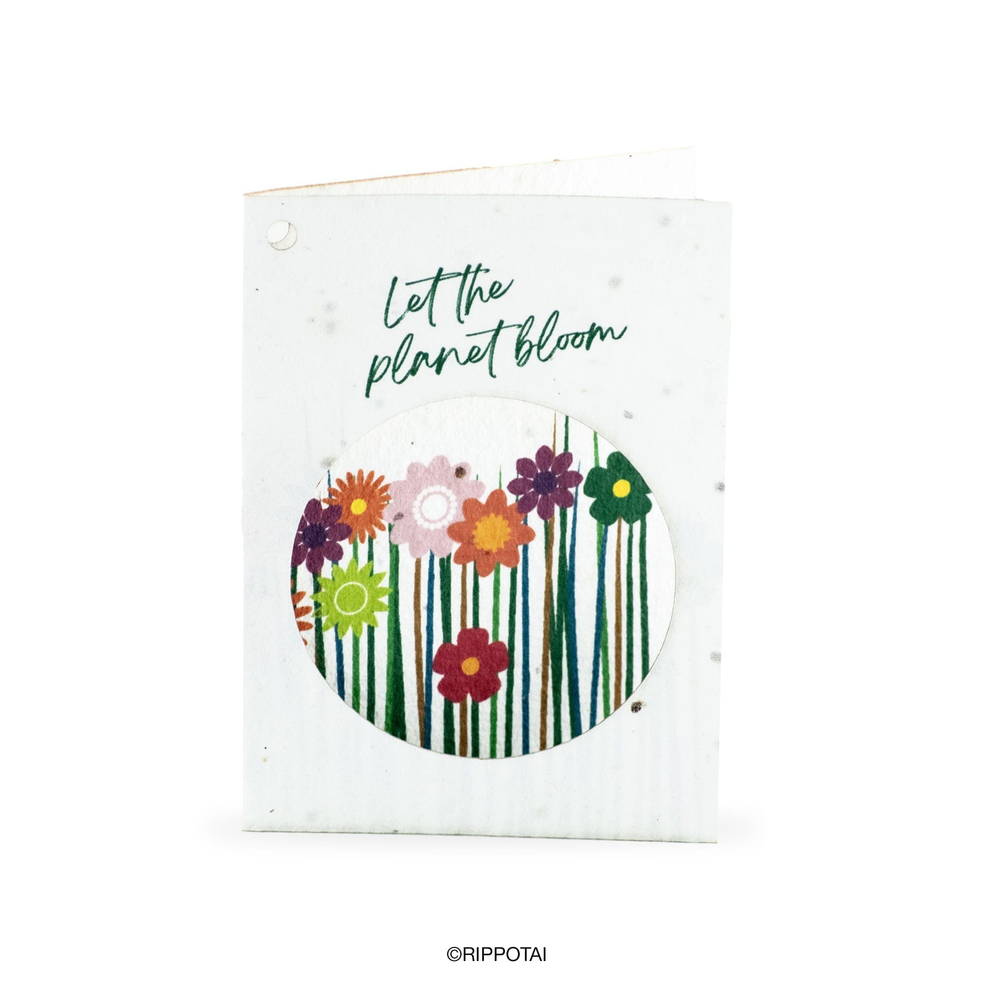 Rippotai Biglietti Auguri Biglietti di Auguri in Carta Piantabile a Tema Primavera – Kit da 8