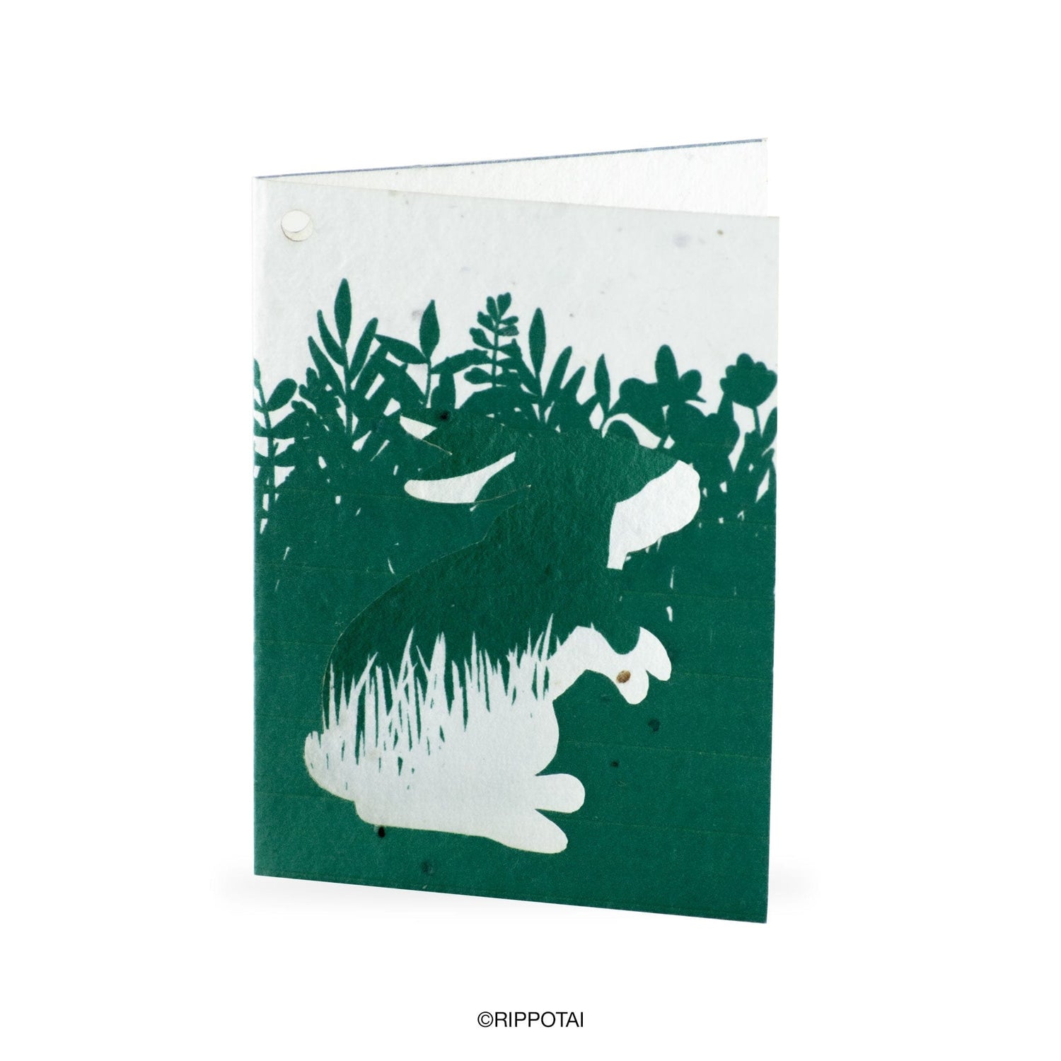 Rippotai Biglietti Auguri Biglietti di Auguri in Carta Piantabile a Tema Primavera – Kit da 8