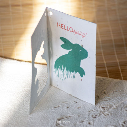 Rippotai Biglietti Auguri Biglietti di Auguri in Carta Piantabile a Tema Primavera – Kit da 8