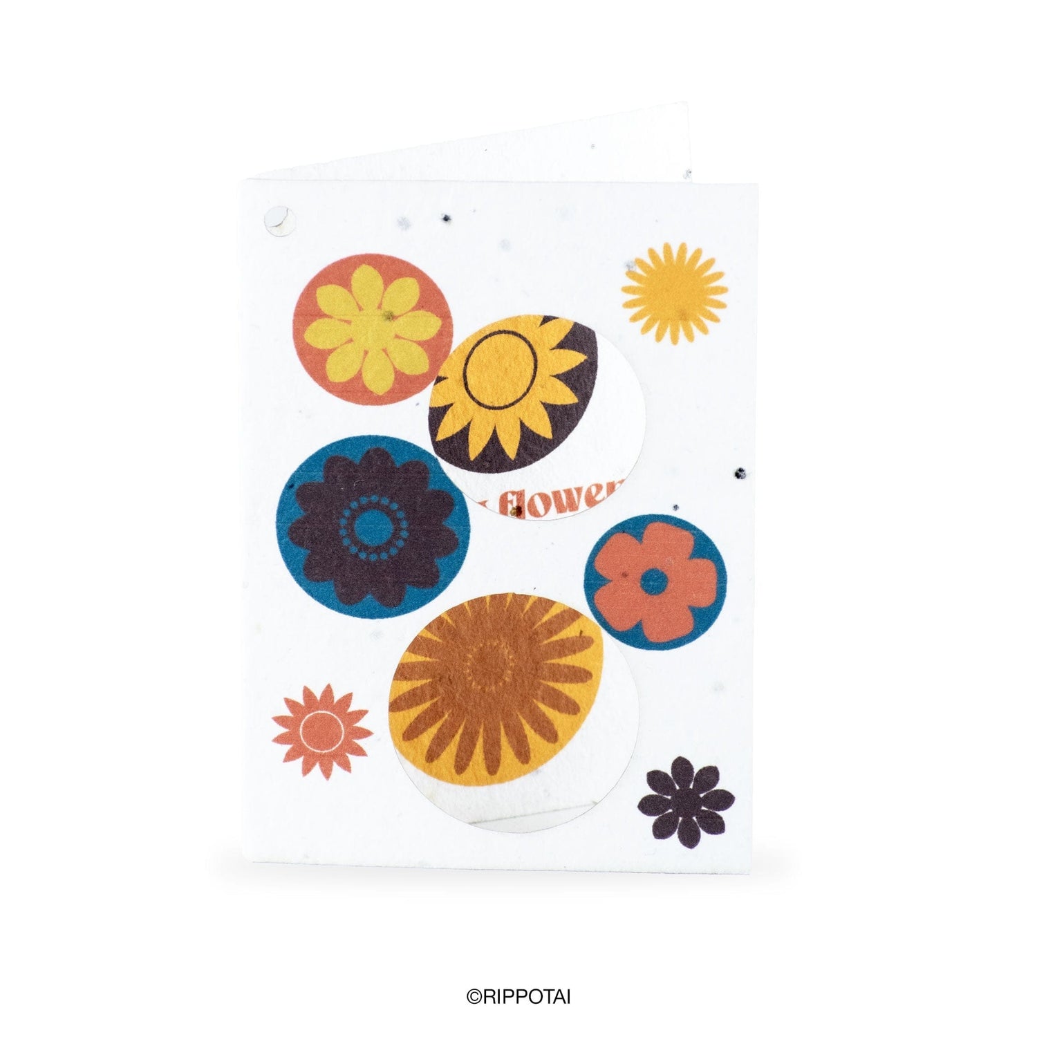 Rippotai Biglietti Auguri Biglietti di Auguri in Carta Piantabile a Tema Primavera – Kit da 8