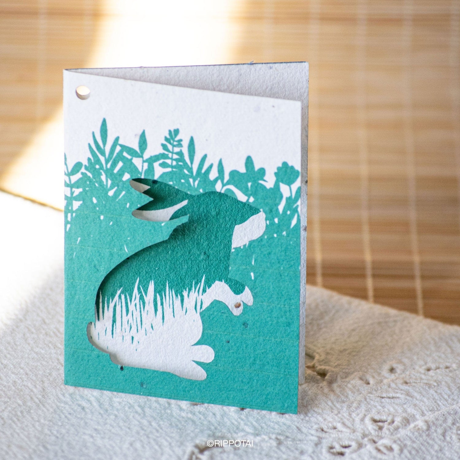 Rippotai Biglietti Auguri Biglietti di Auguri in Carta Piantabile a Tema Primavera – Kit da 8