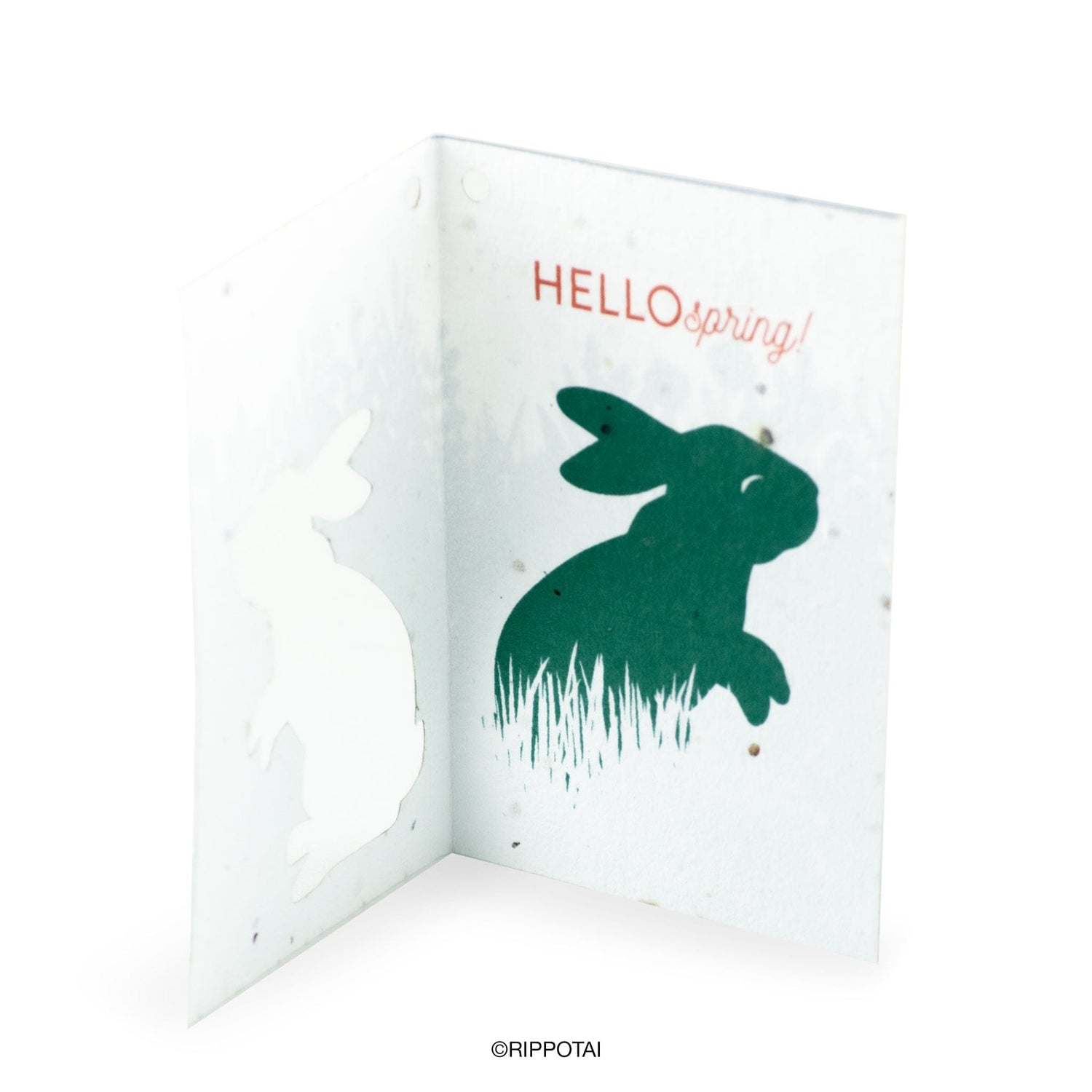 Rippotai Biglietti Auguri Biglietti di Auguri per Pasqua in Carta Piantabile Releaf – Kit da 8