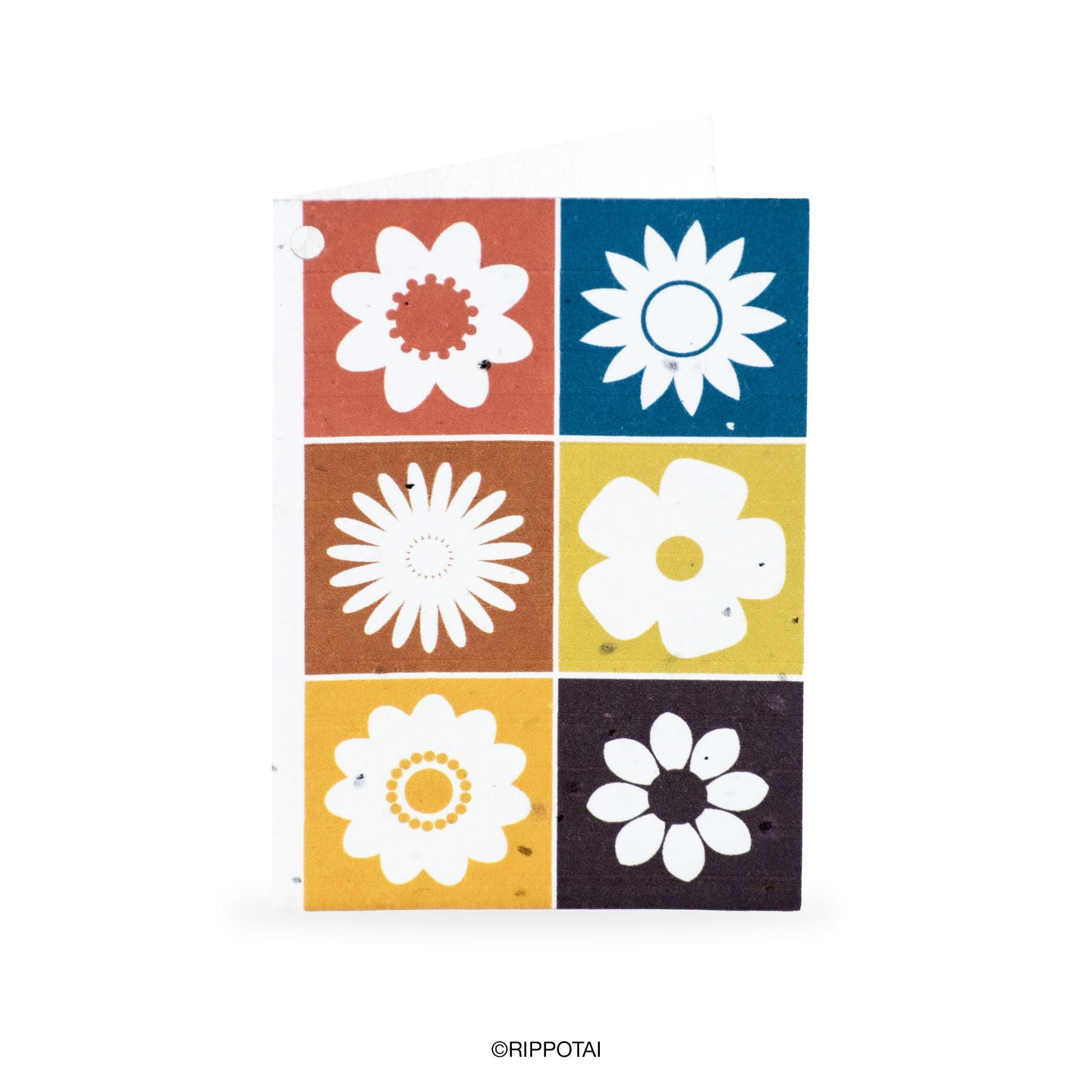 Rippotai Biglietti Auguri Biglietti di Auguri per Pasqua in Carta Piantabile Releaf – Kit da 8