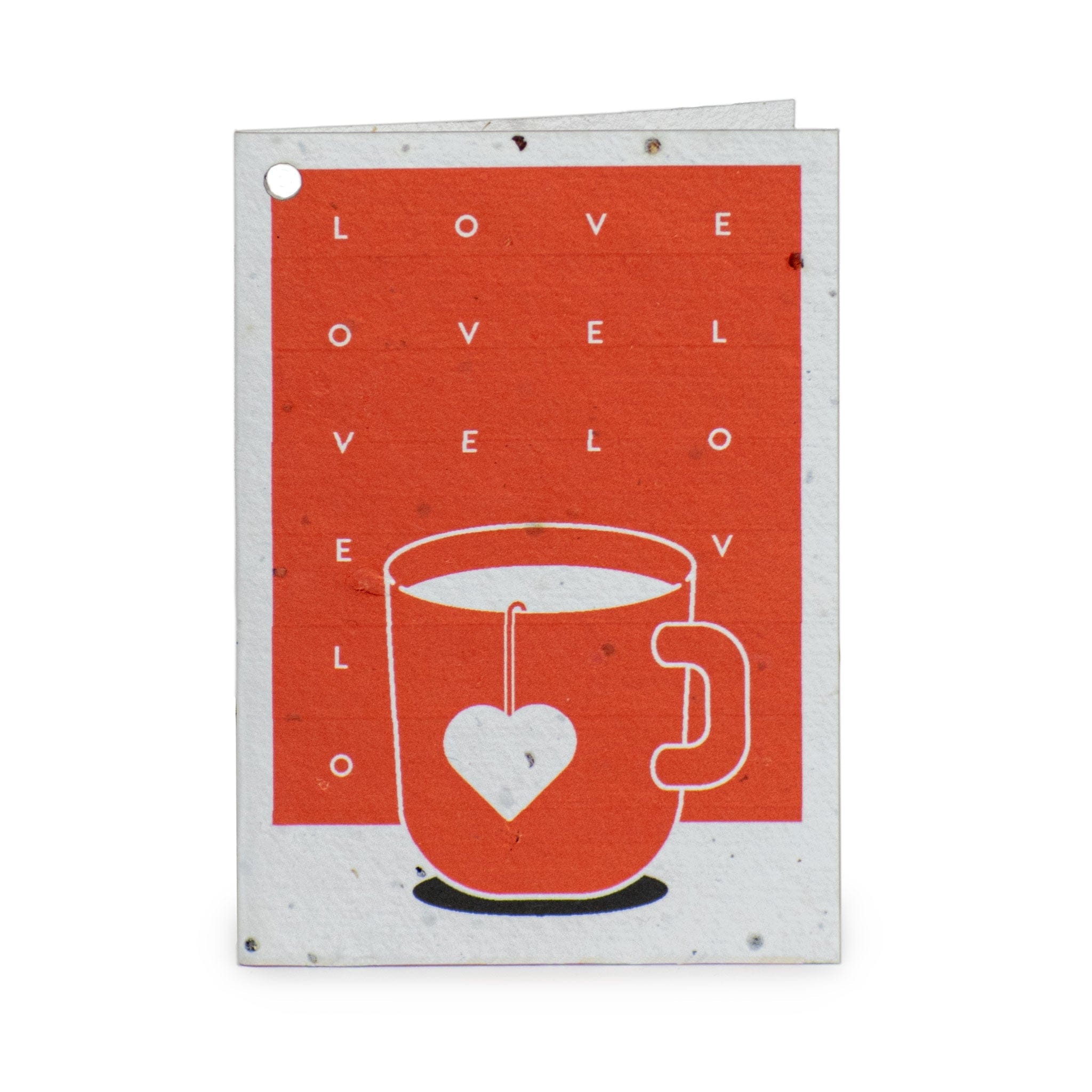 Rippotai Biglietti Auguri Biglietti di Auguri per San Valentino in Carta Piantabile Releaf – Kit da 8