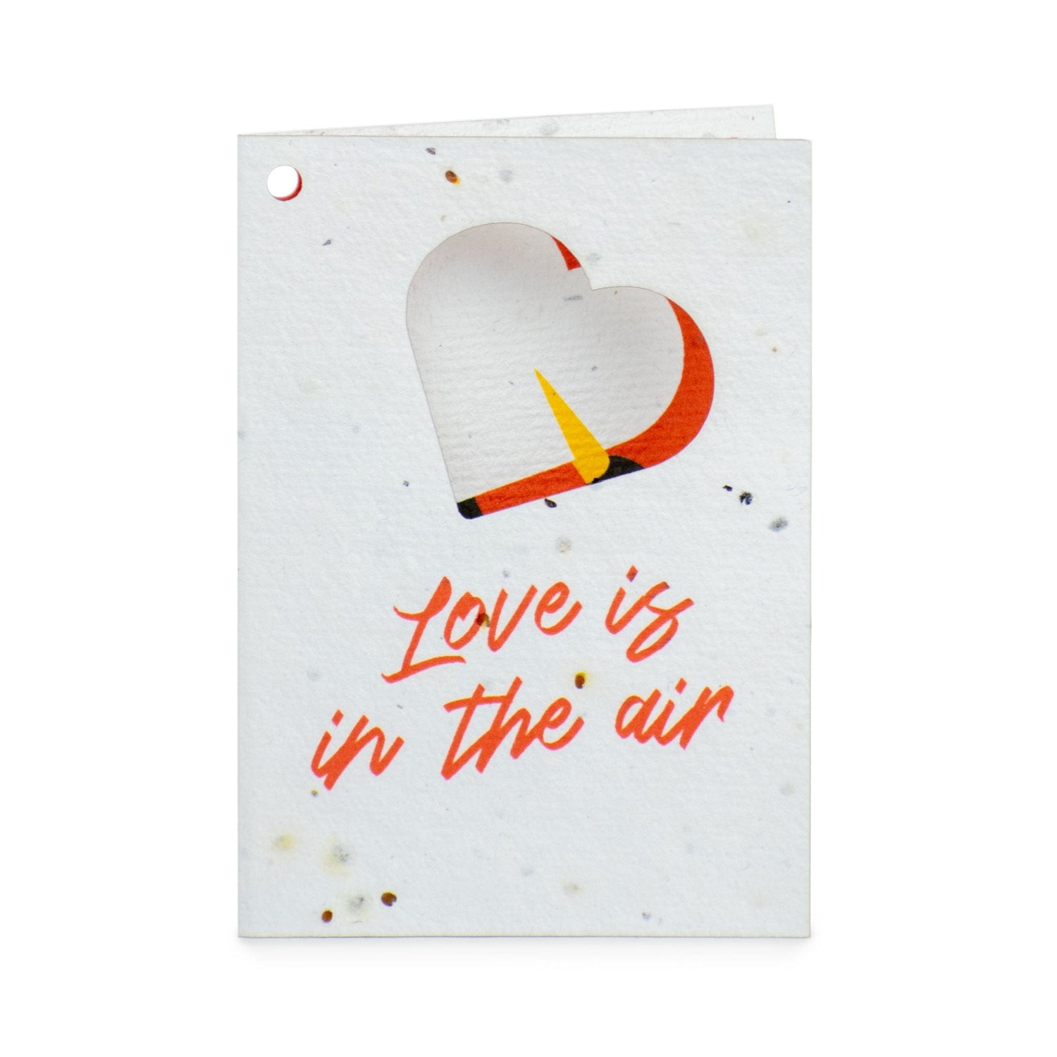 Rippotai Biglietti Auguri Biglietti di Auguri per San Valentino in Carta Piantabile Releaf – Kit da 8