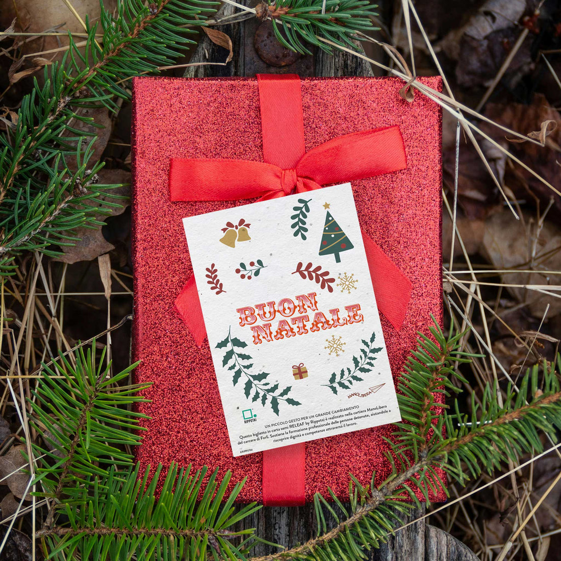Rippotai Biglietti Auguri Biglietti Natalizi in Carta Semi - Regalo Solidale per un Pianeta Sostenibile