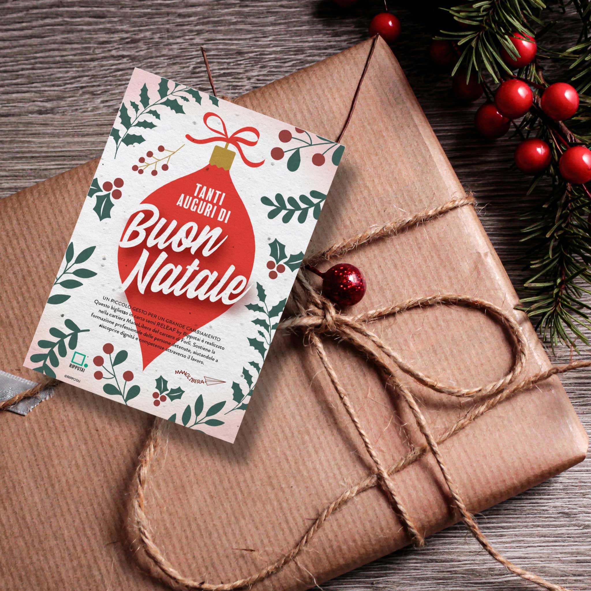 Rippotai Biglietti Auguri Biglietti Natalizi in Carta Semi - Regalo Solidale per un Pianeta Sostenibile