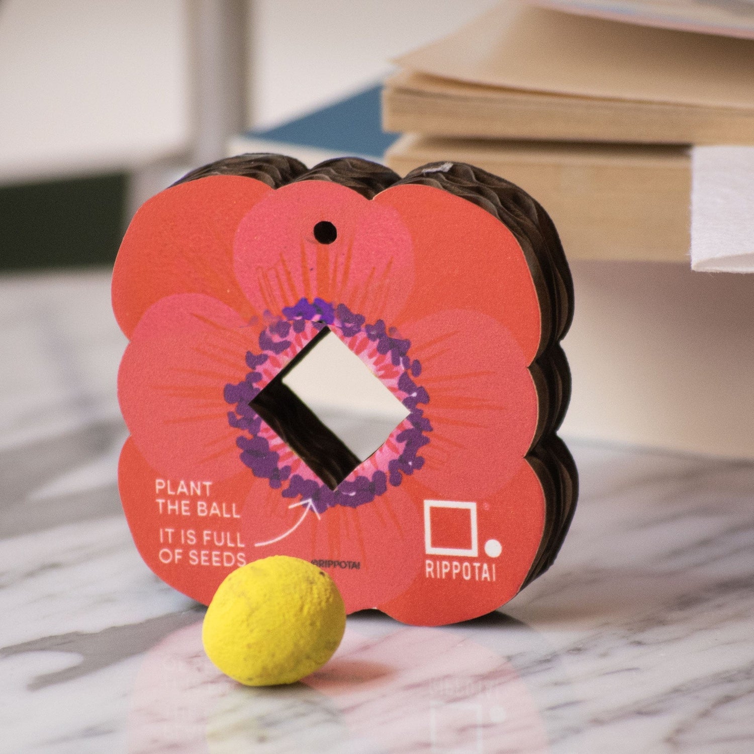 Rippotai Bombe semi Bombe Semi – Regalo Ecosostenibile per la Mamma