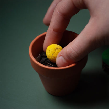 Rippotai Bombe semi Coniglietto Pasquale ecologico con bomba di semi! Set da 2