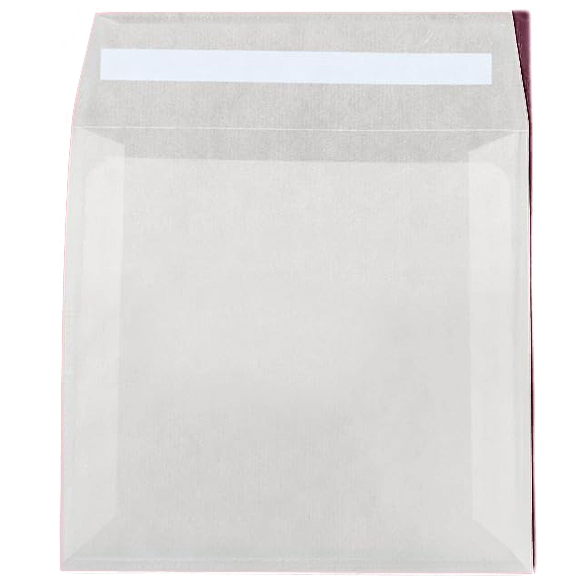 Rippotai Bombe semi Idea Regalo Festa della Donna: Un Dono Ecologico e Significativo - Set da 3