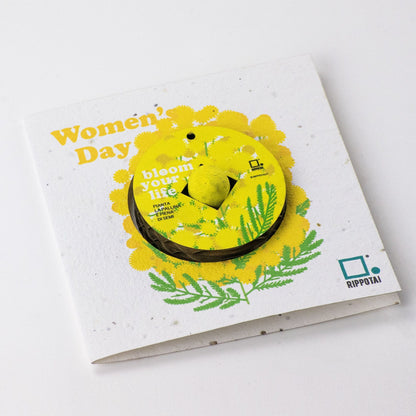 Rippotai Bombe semi Idea Regalo Festa della Donna: Un Dono Ecologico e Significativo - Set da 3