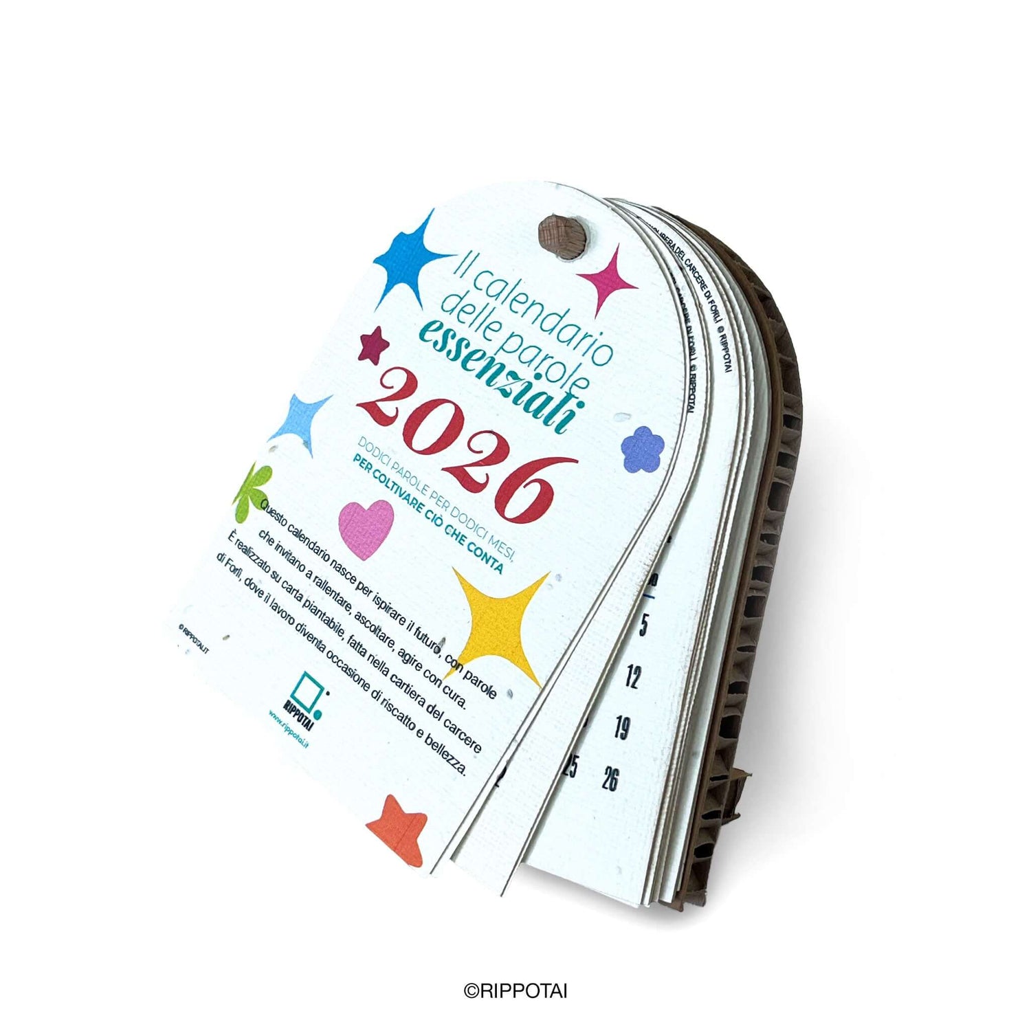 Rippotai Calendari Calendario da tavolo in carta piantabile – Il calendario delle parole essenziali Rippotai