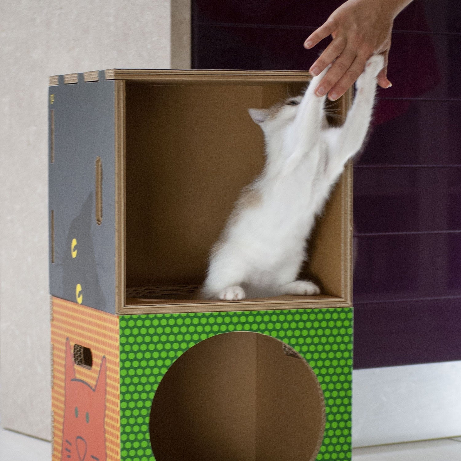 Rippotai Cuccia per gatti eco-sostenibile BlackCatpotai