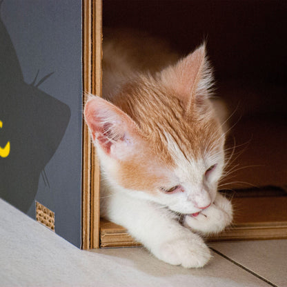 Rippotai Cuccia per gatti eco-sostenibile BlackCatpotai