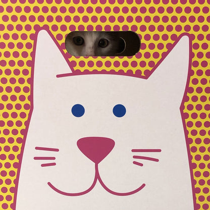 Rippotai Cuccia per gatti eco-sostenibile Catpotai