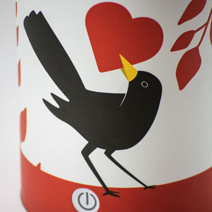 Rippotai Illuminazione Lampada LED ricaricabile ecologica – Idee regalo San Valentino